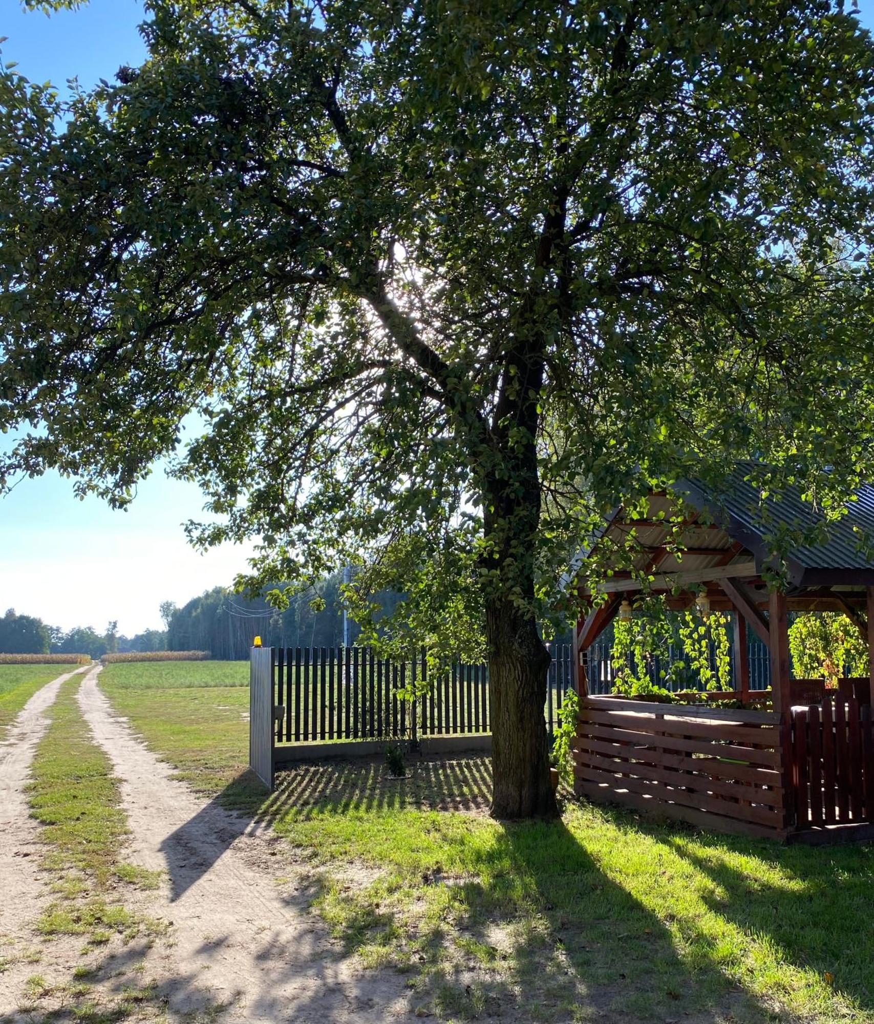 Maciejowka Gospodarstwo Agroturystyczne Poddebice Экстерьер фото