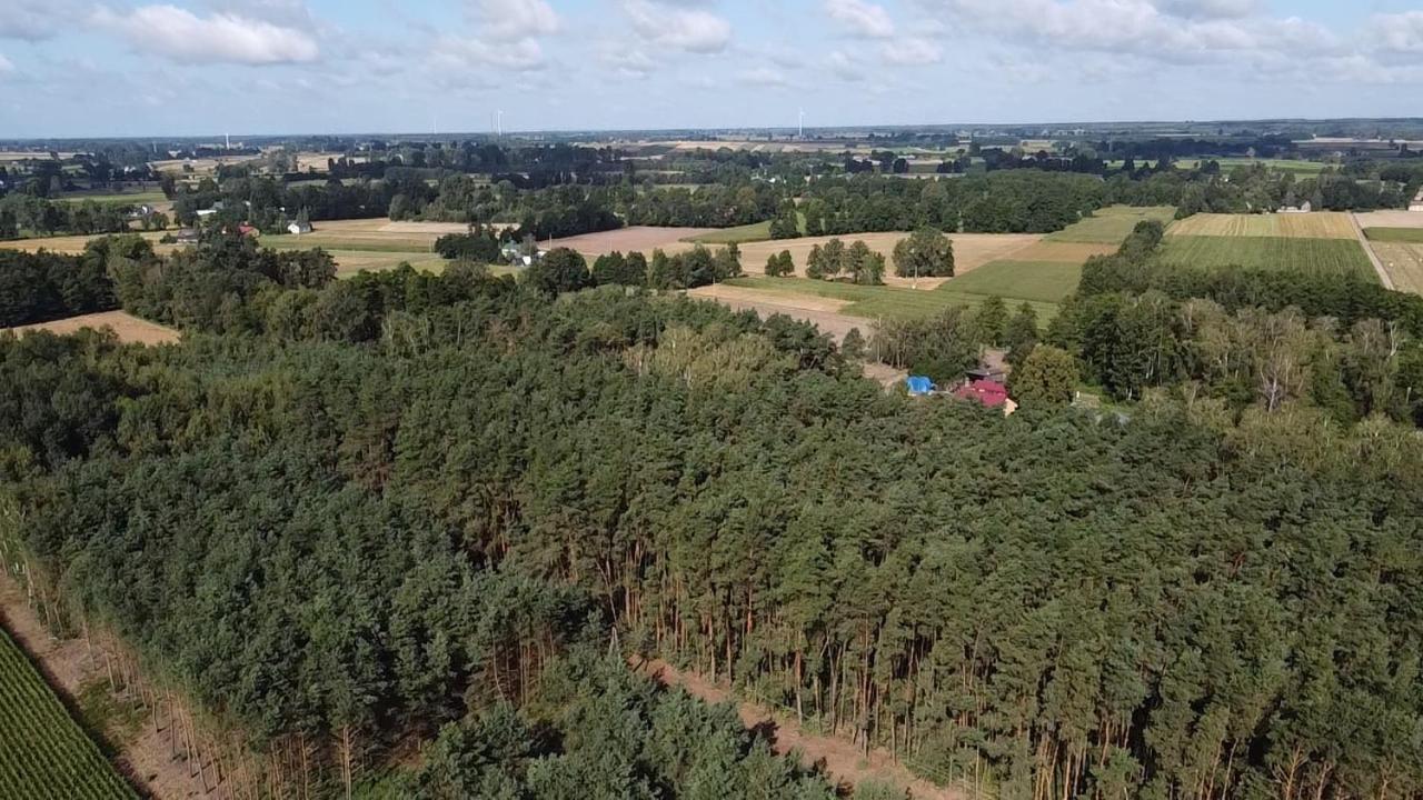 Maciejowka Gospodarstwo Agroturystyczne Poddebice Экстерьер фото